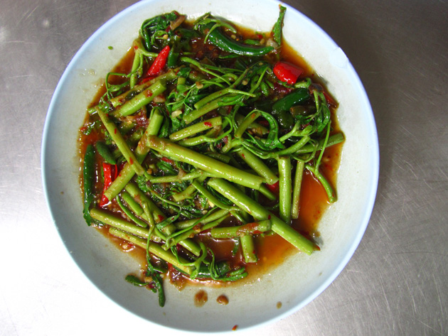 Water mimosa (pad pak gachet ผัดผักกะเฉด)