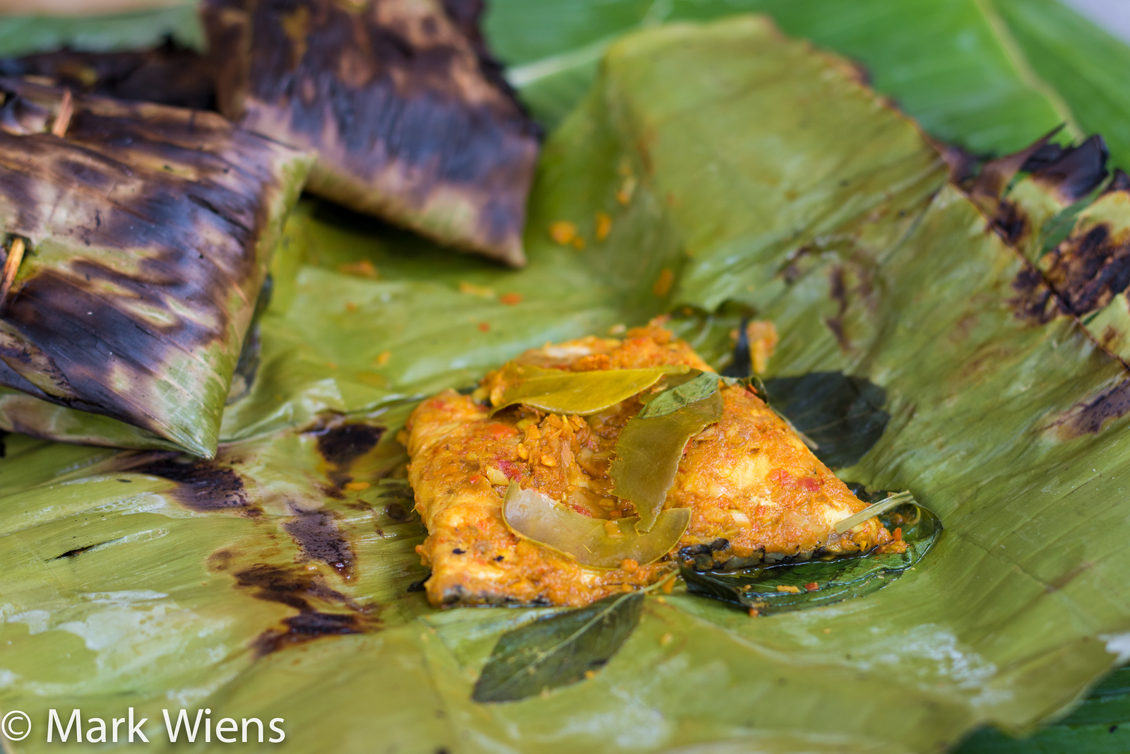 northern Thai recipes