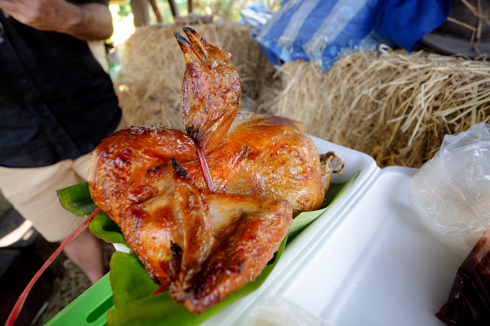 best chicken in Bangkok