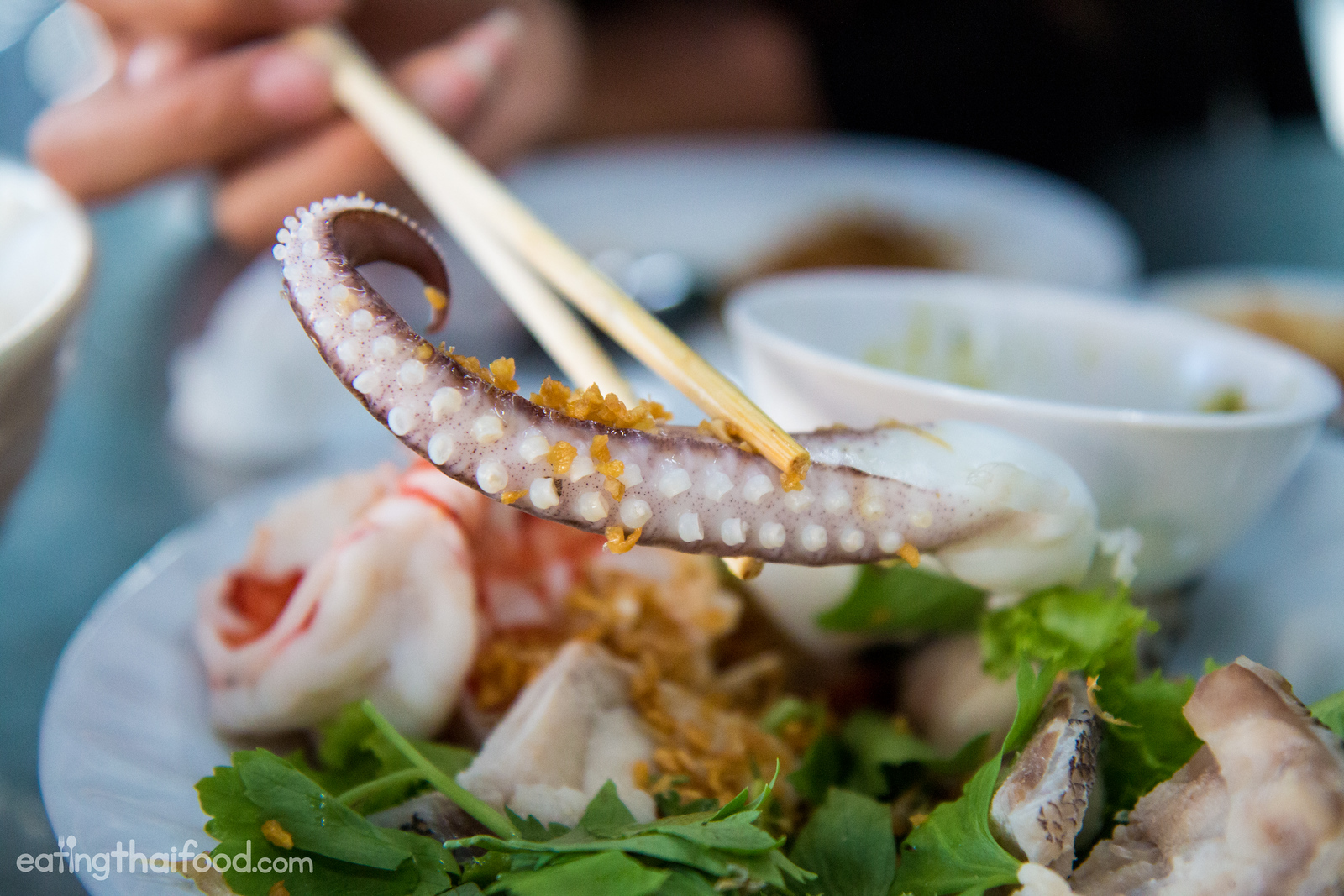 thai seafood