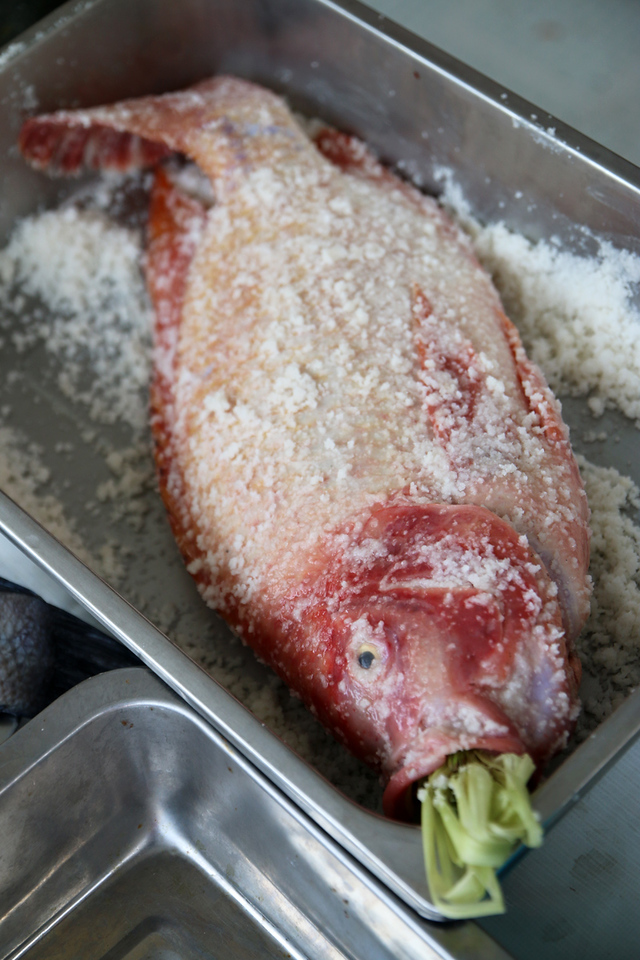 A nice coat of salt crust