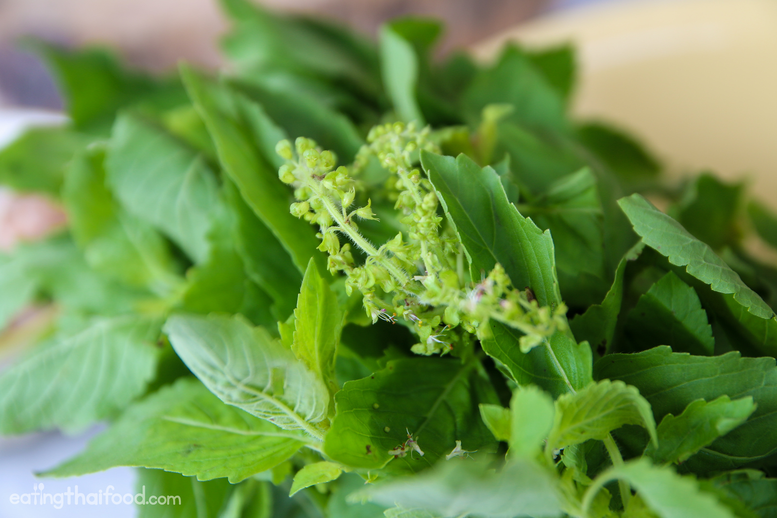How to make Thai basil chicken