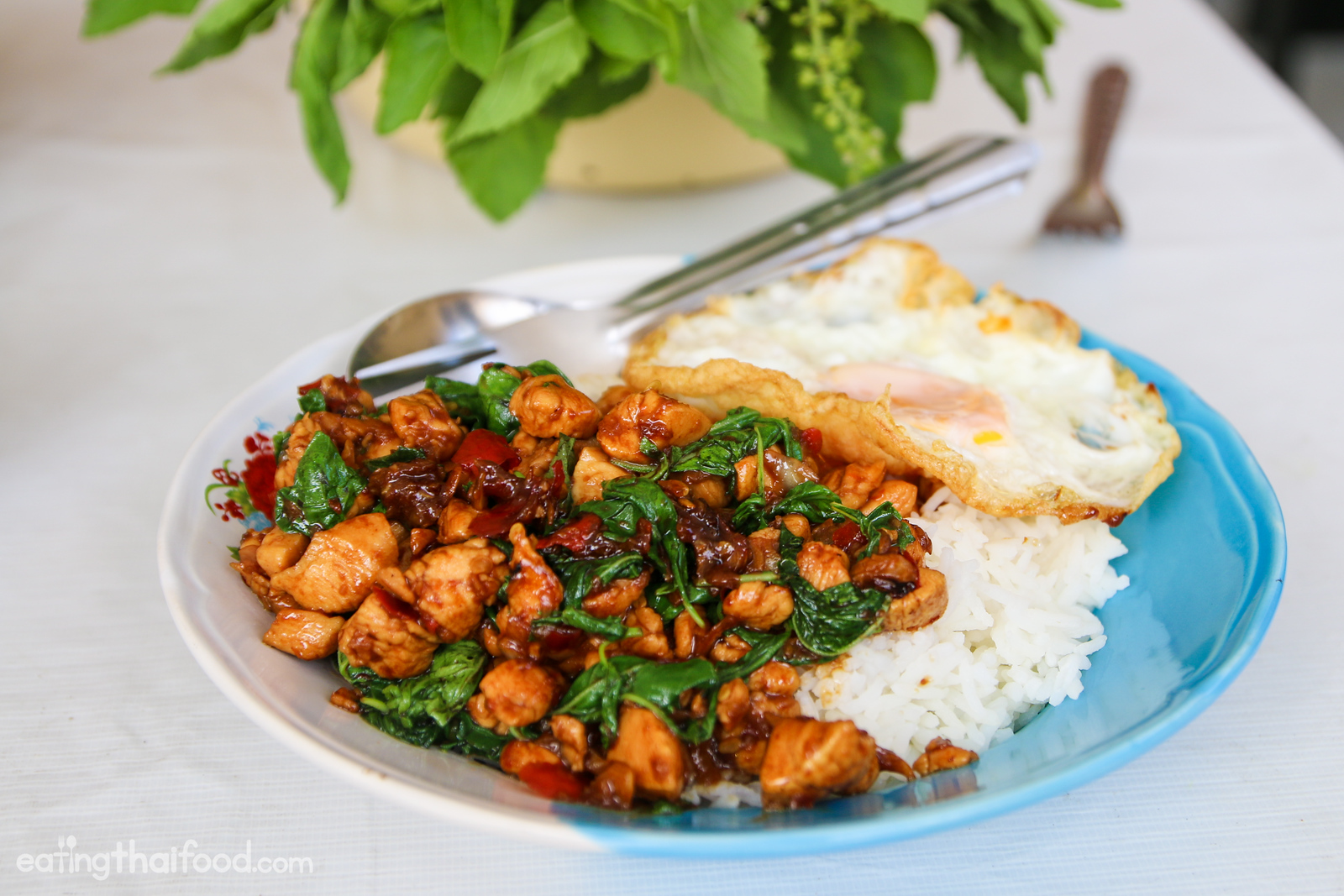 Thai basil chicken recipe