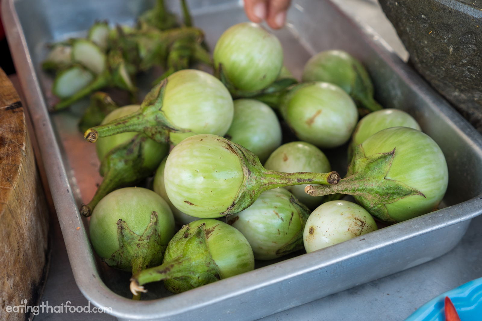 Thai eggplant