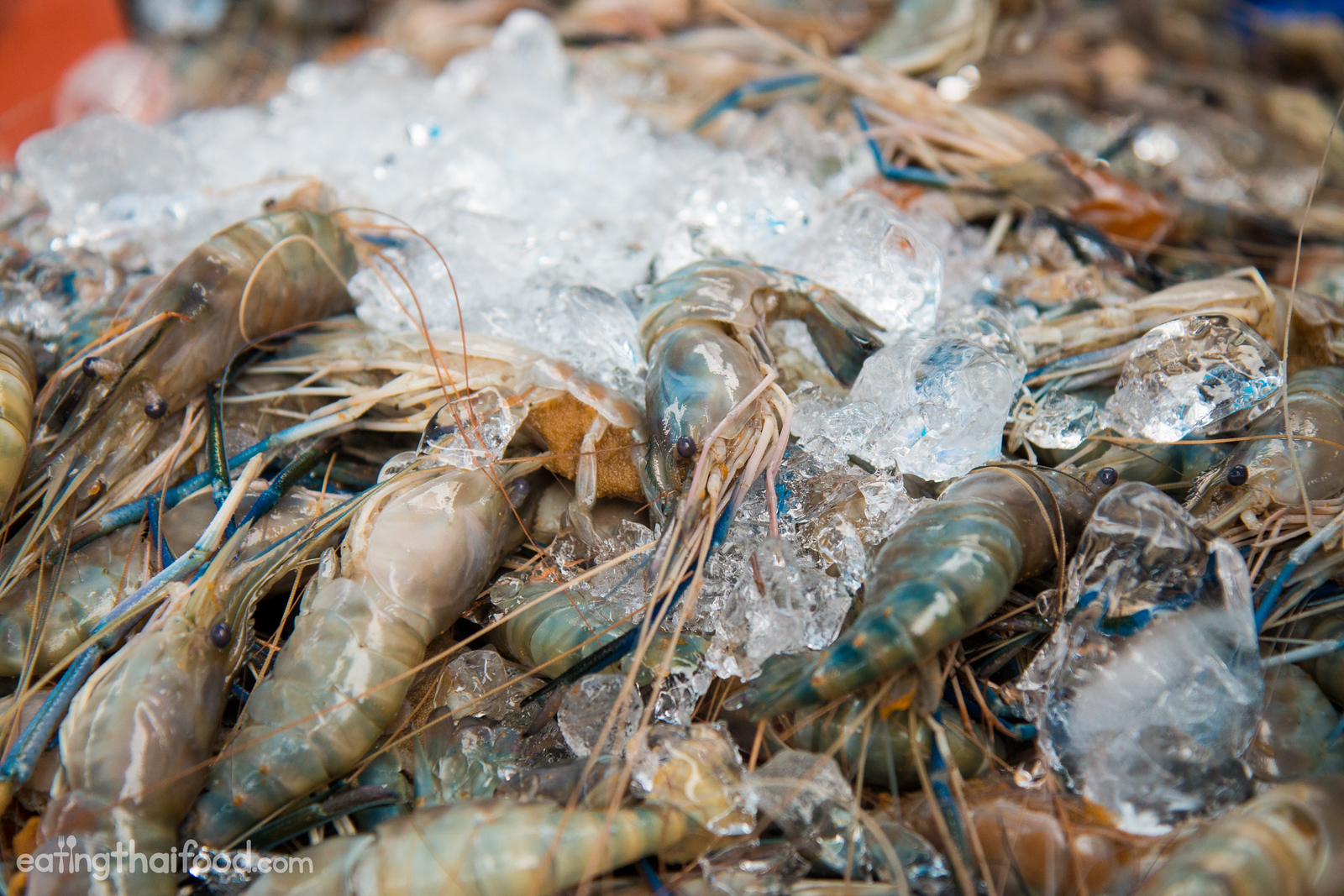 Thai shrimp