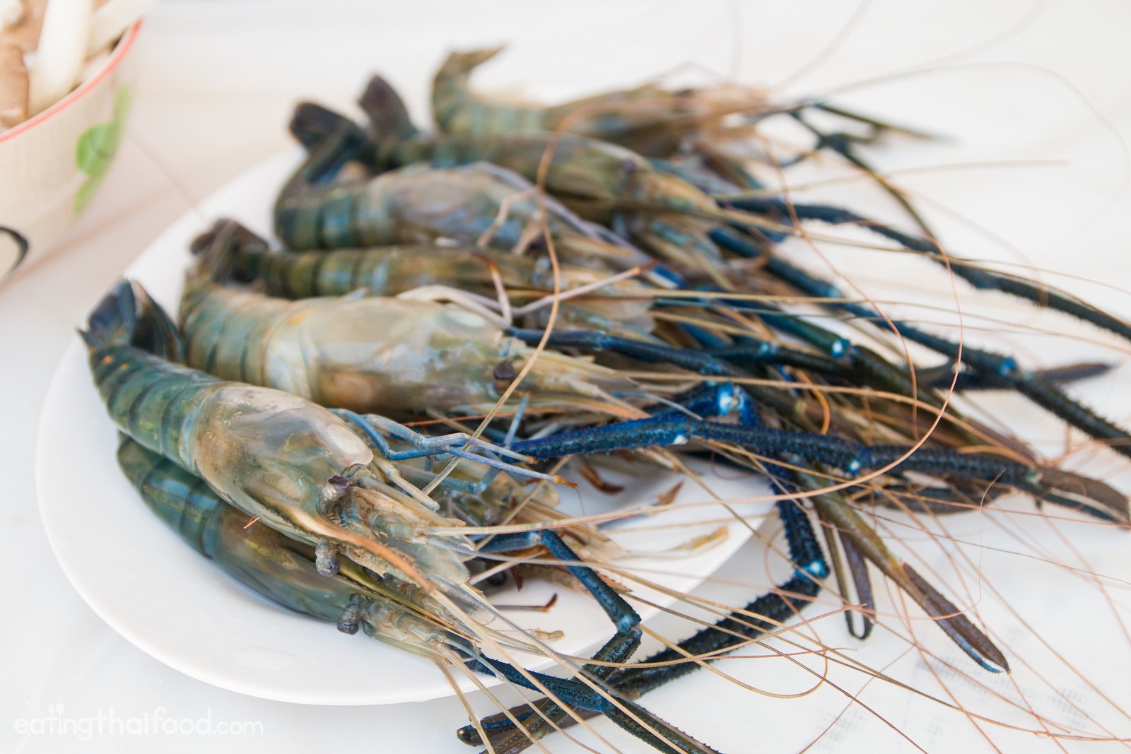 tom yum shrimp recipe