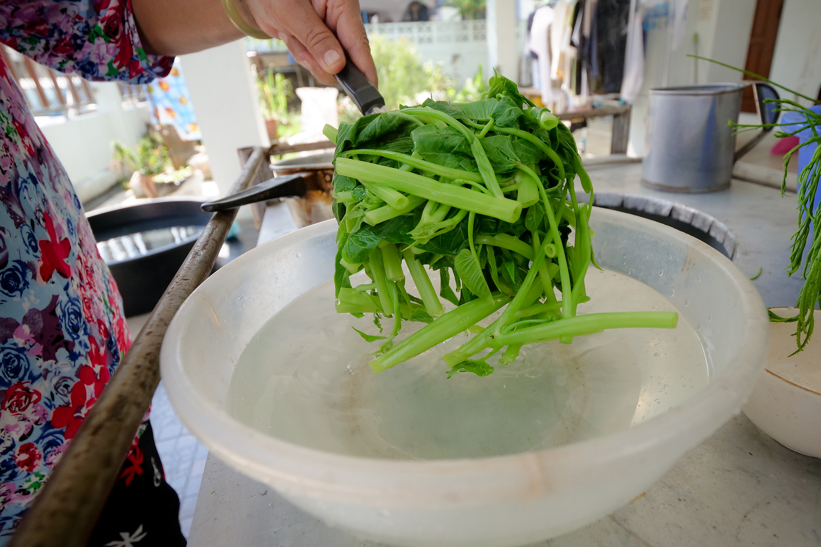 Morning Glory cooks very quickly